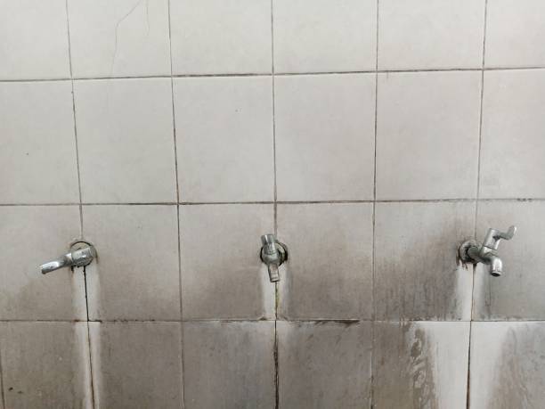 Best Professional water damage repair  in Tri City, OR