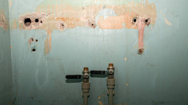 Trusted Tri City, OR Water damage restoration Experts